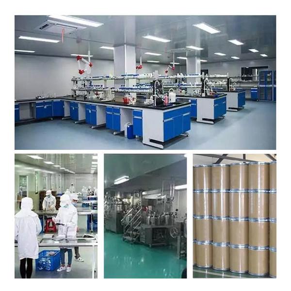 چین Shaanxi Baisifu Biological Engineering Co., Ltd. نمایه شرکت