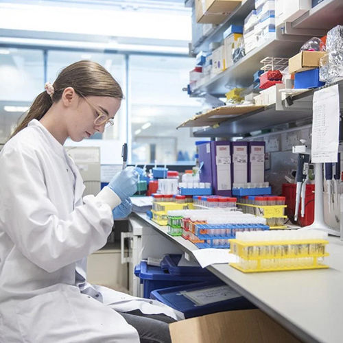 Shaanxi Baisifu Biological Engineering Co., Ltd. خط تولید کارخانه