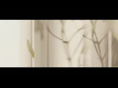 روغن ضروری درخت چای روغن اسطوخودس روغن نعناع روغن درخت کمپور روغن مغز گل رز روغن ضروری Euca