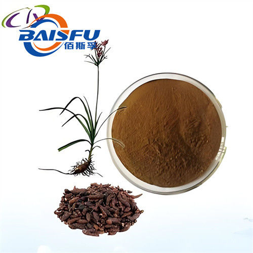 Baisfu pure Natural Nutgrass Galingale Rhizome Extract Brown fine Powder Content 98% use in medicine and health care products