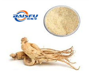 Shaanxi Baisfu herbal plant extract Yellow brown fine powder NaturaGinsenosides 80% UV Panax ginseng extract use in medicine/cosmetic/health care products
