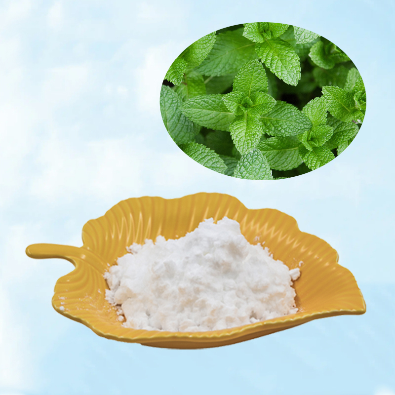 Baisfu Plant extract powder Mentha haplocalyx Brip Peppermint Extract Selling Well In Europe And America Market used in food and beverage