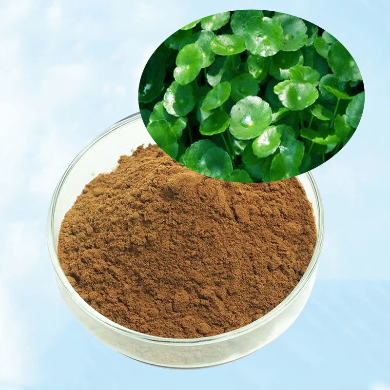 Baisfu Plant Extract Powder Hot Selling Natural Asiaticoside Used In cosmetics