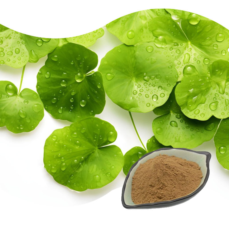 Baisfu Plant Extract Powder Hot Selling Natural Asiaticoside Used In cosmetics