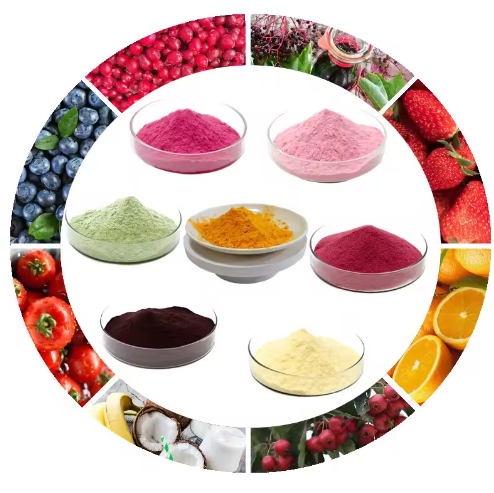 Excellent quality organic fresh Blueberry fruit juice concentrated powder Purple-blue powder used in the food and beverage industries