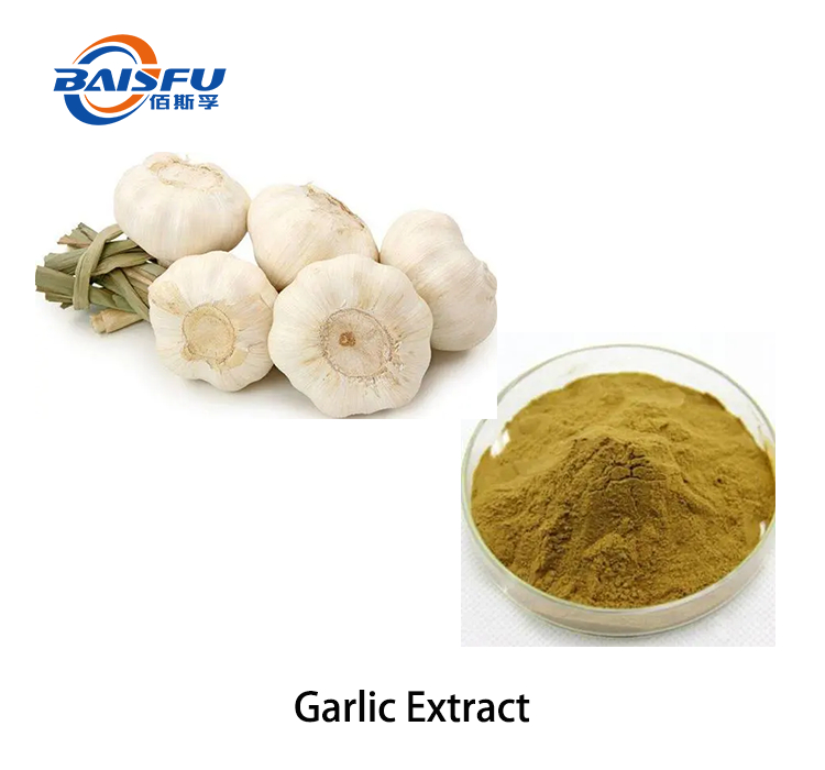 Standardized Garlic Powder Extract | Stable & Odor-Masked | Ideal for Nutraceutical and Feed Additive