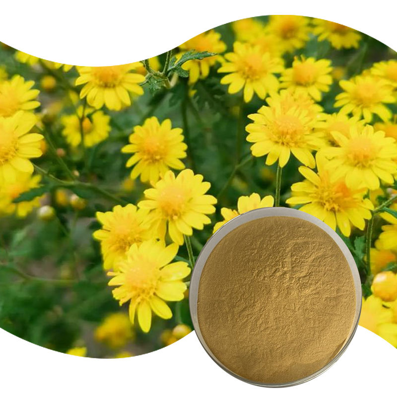Baisfu natural Chrysanthemi Indici Flos P.E Best quality brown yellow fine powder for Natural antioxidants and medicine