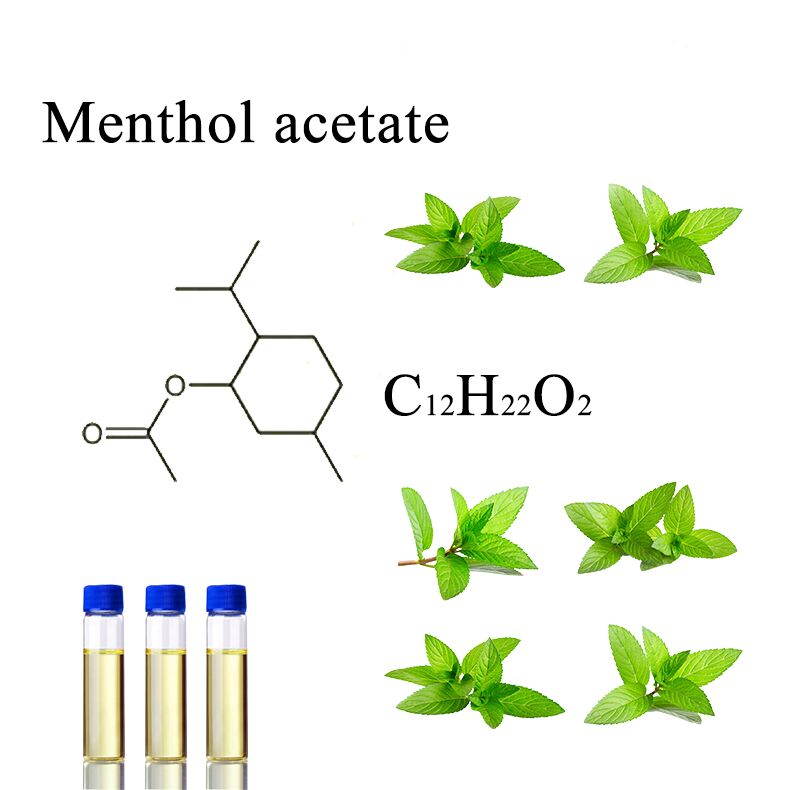 Menthol Acetate 99% (CAS 89-48-5) | High Purity Flavor & Fragrance Ingredient