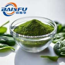 Baisfu Pure plant extract Green Fine Powder 98% Spinach Powder CAS No: 11006-34-1 Specification 5:1 10:1 Hot Selling - Get Your Favorite Price Here With Low MOQ  use in Food coloring and baking